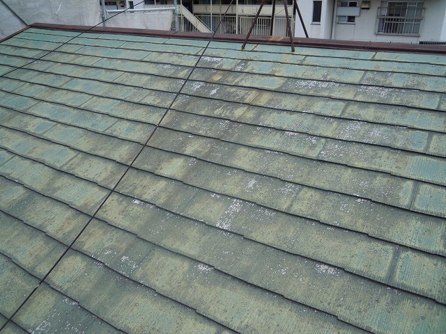 ご相談いただいた屋根